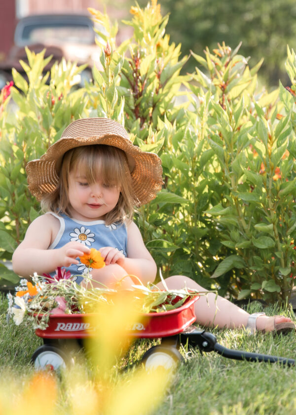 franksville wi you pick flower farm photos-5